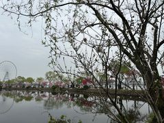 -无锡蠡湖国家湿地公园-蠡园