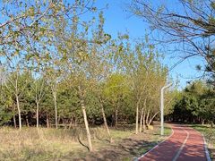 -绥化市森林植物园