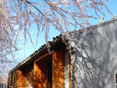 -三里河公园