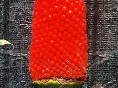 -北京植物园-展览温室