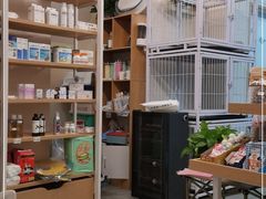 -宠物梦想家(日月豪庭店)