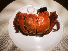 -常来小聚(丰汇时代店)