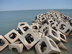 -东疆建设开发纪念公园
