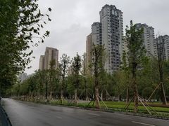 -龙头寺公园