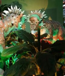 -恐龙探索乐园(磁器口店)