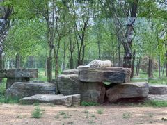 -秦皇岛野生动物园