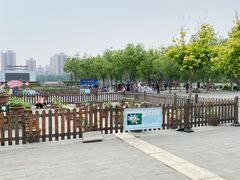 -莲花池公园