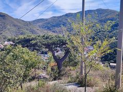 -妙峰山风景名胜区