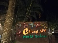 -清迈夜间动物园