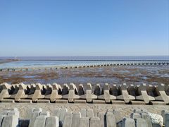 -南汇嘴观海公园