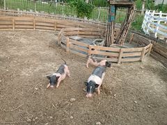 -祥源·阜阳生态乐园