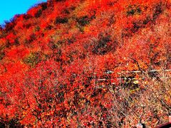 -周口店坡峰岭风景区