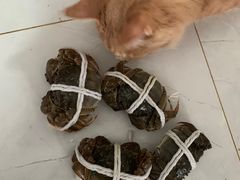 -黄记大闸蟹专卖店·活蟹·醉蟹
