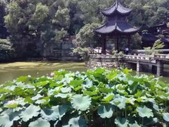 -忠山公园