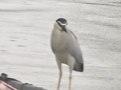 -范蠡湖公园