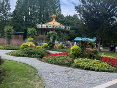 -东平国家森林公园