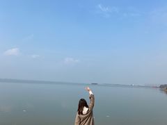 -瑶湖郊野森林公园