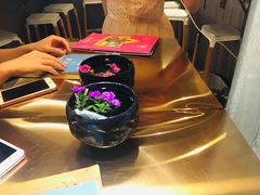 -茶是一枝花泡茶店