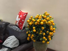 -细村农贸综合市场