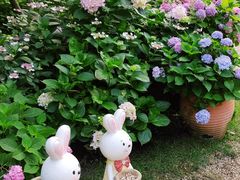 -上海共青森林公园