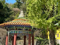 -南华禅寺