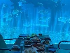 -海棠湾洲际-涛·海底餐厅·美人鱼·自助餐·海底隧道