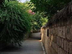 -四川大学(华西校区)