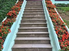 -龙环葡韵住宅式博物馆