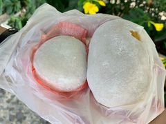 -澳门长洲糯米糍(柯打苏沙街店)