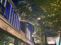 -酒池星座(深圳湾后海汇店)
