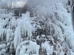-黑龙潭风景区