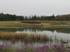 -两河城市森林公园