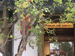 -鲤院·新中式美学·庭院餐厅(夫子庙店)