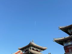 -胡杨记忆(和平路店)