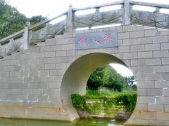 -广东茂名森林公园