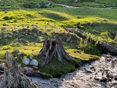 -新疆那拉提国家旅游度假区