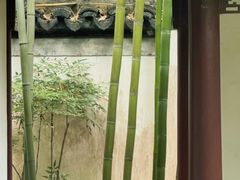 -秋霞圃