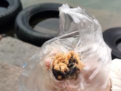 肉松乌饭团-锦记糕点铺