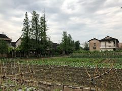 -乌村