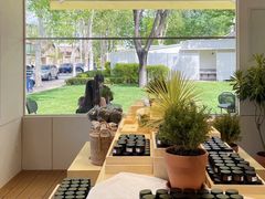 -春晖园度假酒店温泉