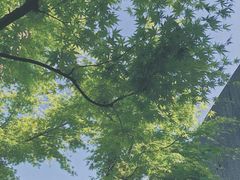 -雕刻之森美术馆