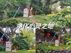 -龙华寺