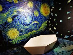 -重庆梵高星空艺术馆(解放碑旗舰店)