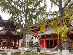 -上海东林寺(金山区)