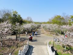 -上海海湾国家森林公园
