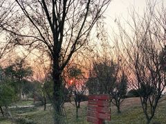 -鹅湖玫瑰文化园