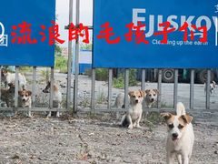 -海底捞火锅(稻河古街夜宵主题店)