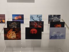 -罗红摄影艺术馆