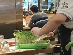 -洪氏嗨捞·猪肚鸡火锅(阳光天地店)
