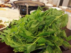 -花水湾红太阳牛肉汤锅